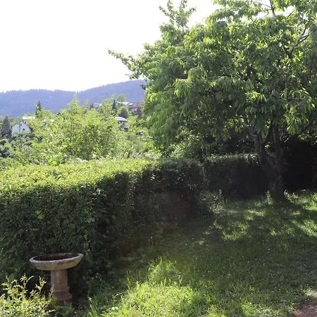 Haus Hoehneck 1 Alpirsbach
