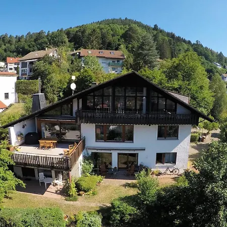 Haus Hoehneck 1 Apartment *