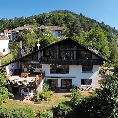 Apartment Haus Höhneck Alpirsbach