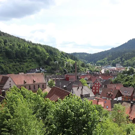 Apartment Haus Höhneck Alpirsbach