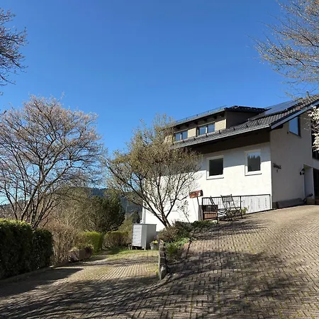Haus Hoehneck آلبيرسباخ