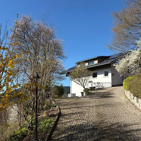 Haus Hoehneck شقة آلبيرسباخ