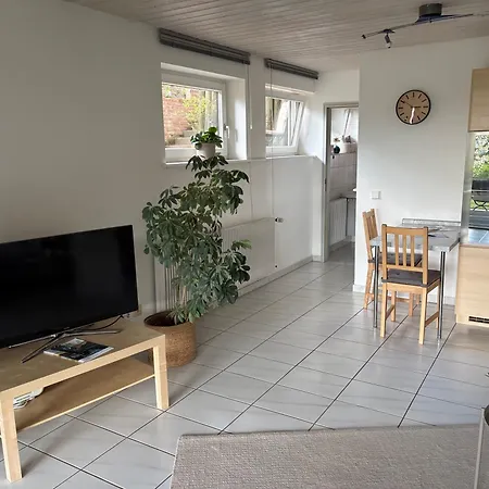 Haus Höhneck Apartment *